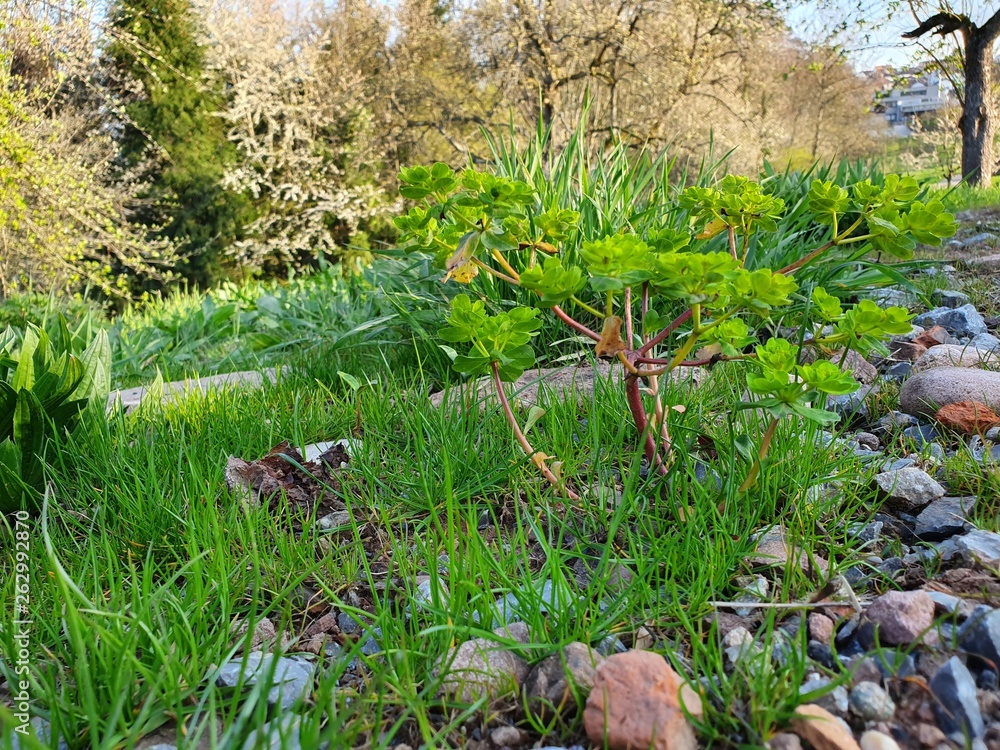 Obraz premium 20190411_182900