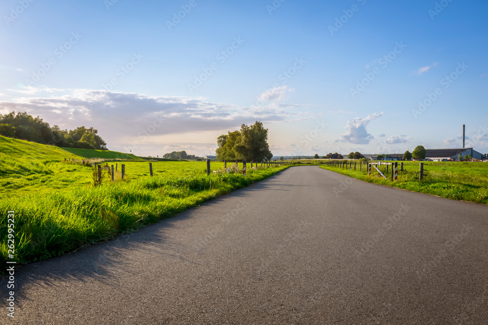 Fototapeta premium path way between fields landscape photo with blue sky 