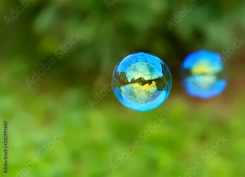 soap bubbles on a natural green blurred background  rainbow