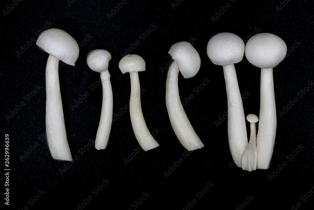 Golden mushroom and white jade mushroom isolated on black background. Golden mushroom and white jade mushroom isolated on black background.