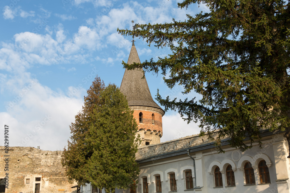 Obraz premium old castle