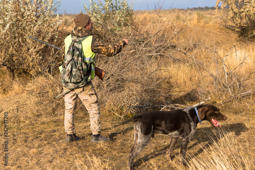 Hunter with a german drathaar and spaniel, pigeon hunting with dogs in reflective vests 
