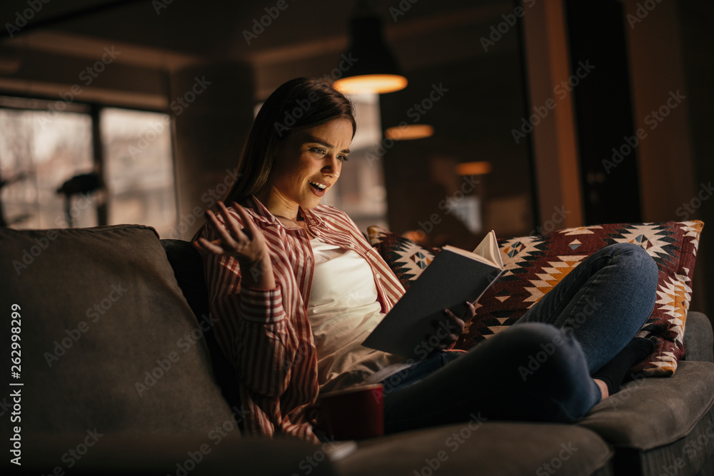 Girl at home studying. Teen reading a book on the couch. Girl at home studying. Teen reading a book on the couch.