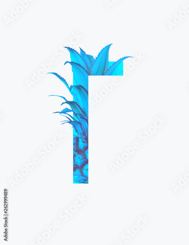 Cyrillic letter with blue pineapple isolated on white