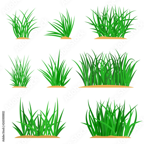 Bunches of green grass set
