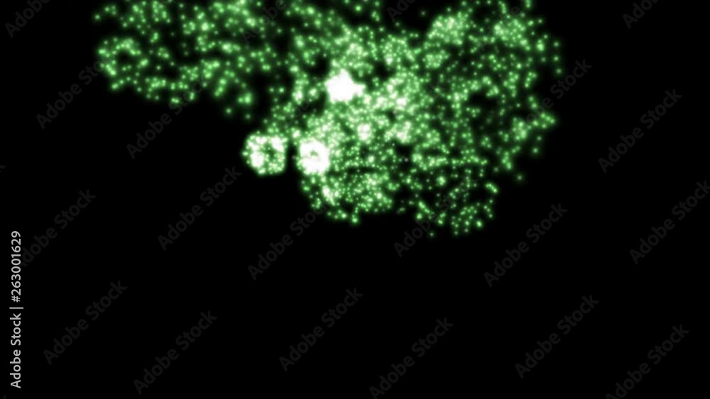 Green fireworks explosion on a black background. Green fireworks explosion on a black background.