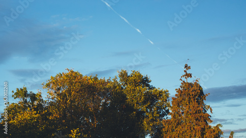 London in Autumn/Fall