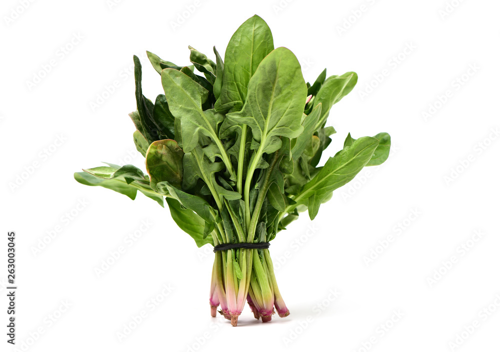 Obraz premium Spinach on white background