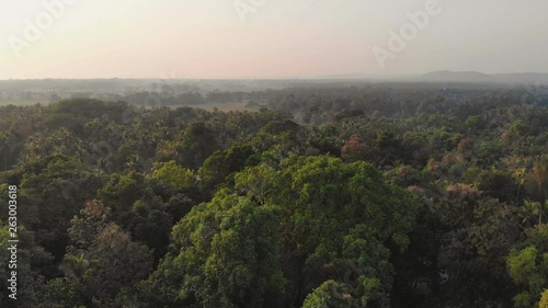 Drone video dense forest massifs within the city of Margao in the state of Goa. India.