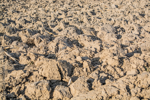 background of dry soil