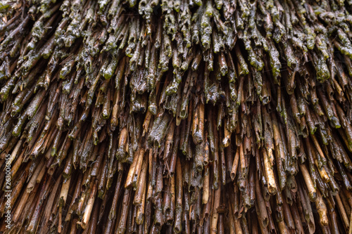 An extreme close up of thatched roof, detail of the golden coloured straw and dirt, ideal for a background