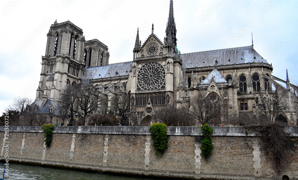Obraz premium notre dame de paris