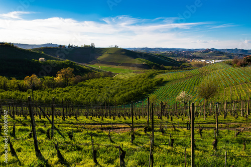 View on the vineyards and woods in the hills of the Langhe in Piedmont Italy, the sky and blue with clouds on the bottom