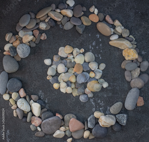 Sea shells and stones as background