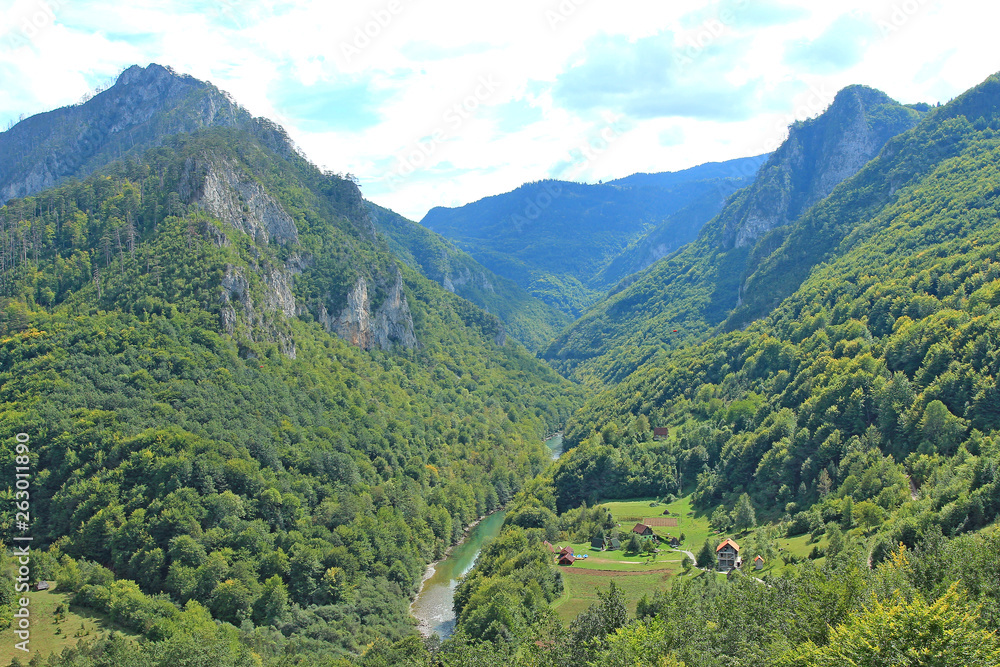 canyon of the river Tara in Montenegro