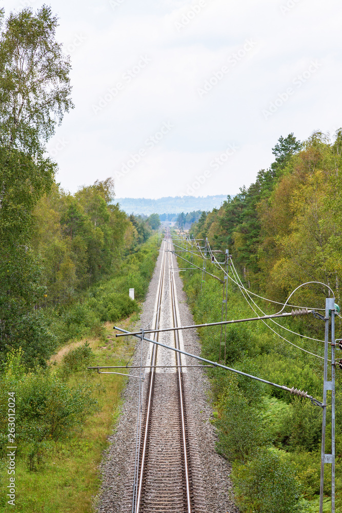 Forest with a railway straight stretch