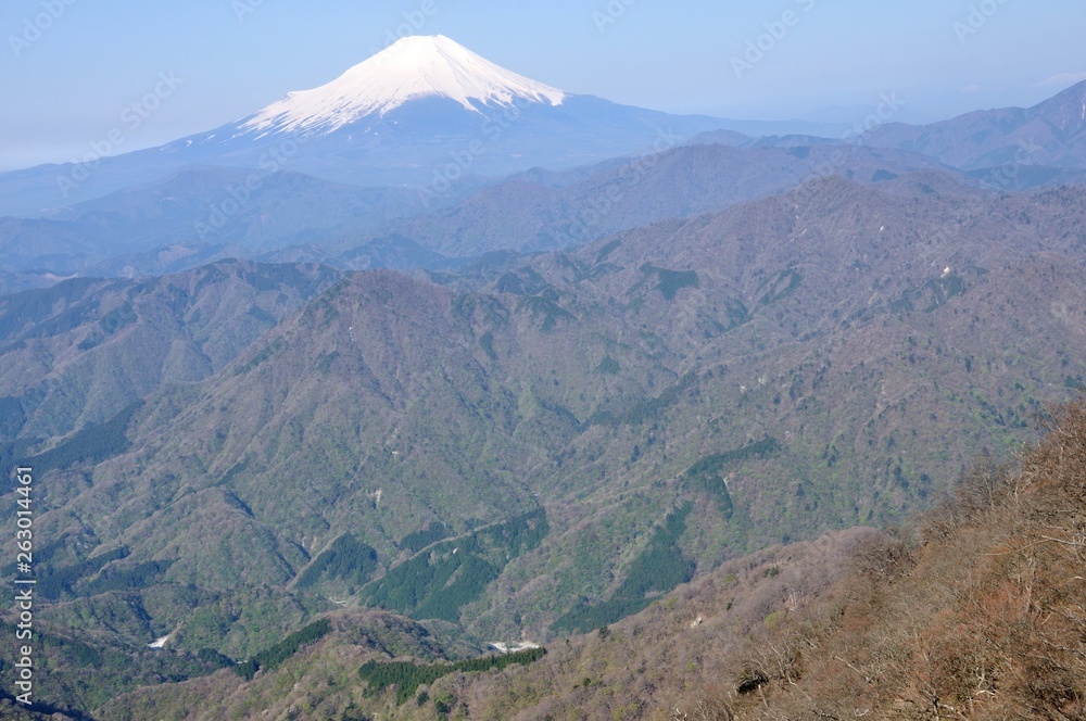 熊笹ノ峰より望む富士山