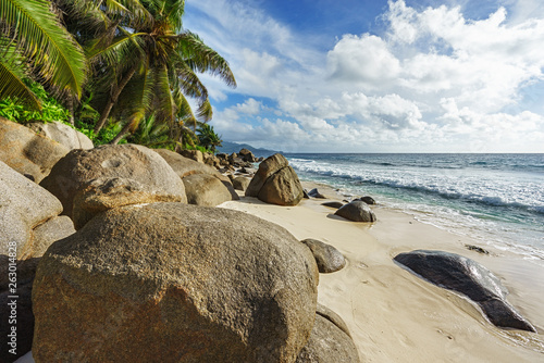 beautiful palms at wild tropical beach anse marie-louise,seychelles 24 © Christian B.