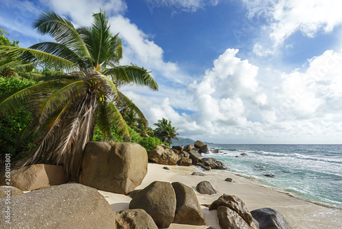 beautiful palms at wild tropical beach anse marie-louise,seychelles 38