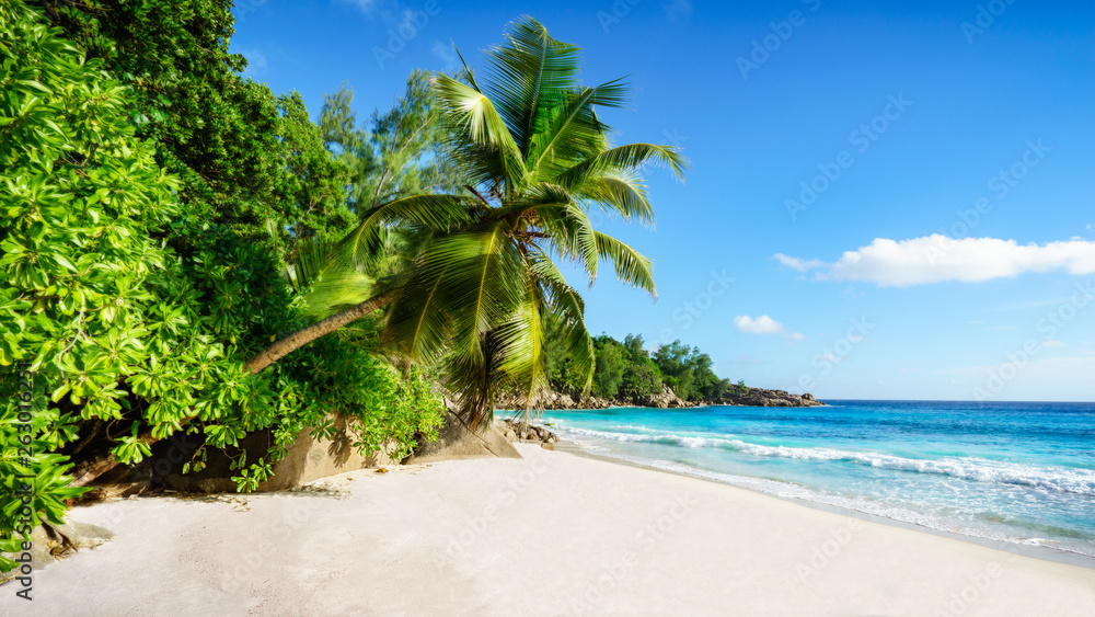 tropical beach.White sand,palm,turquoise water and rocks in paradise, seychelles 3
