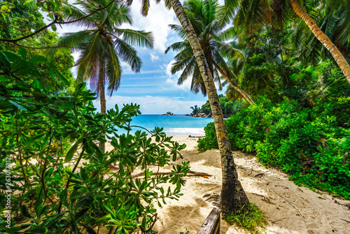 tropical beach with palms white sand turquoise water through a clearing  seychelles