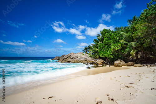 beautiful paradise tropical beach,palms,rocks,white sand,turquoise water, seychelles 17