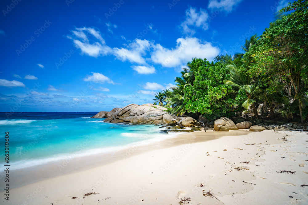 beautiful paradise tropical beach,palms,rocks,white sand,turquoise water, seychelles 18