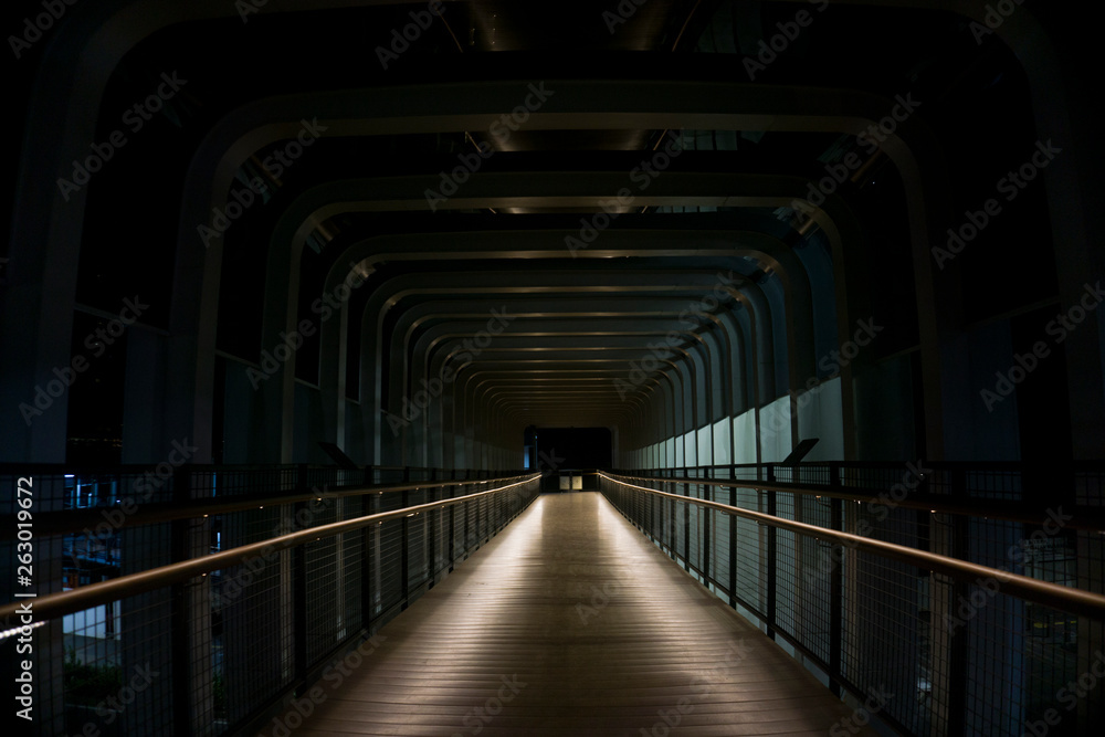 Fototapeta premium The atmosphere of the night crossing bridge. modern and artistic design in front of Gelora Bung Karno Jakarta, Indonesian.
