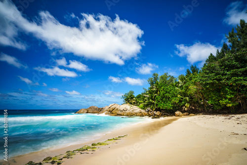 Fototapeta Naklejka Na Ścianę i Meble -  beautiful paradise tropical beach,palms,rocks,white sand,turquoise water, seychelles 30