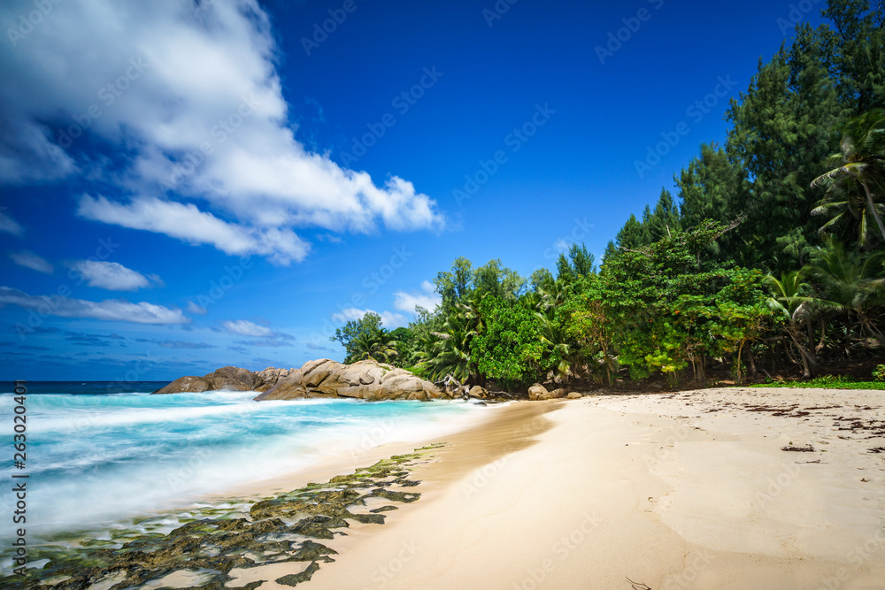 beautiful paradise tropical beach,palms,rocks,white sand,turquoise water, seychelles 41