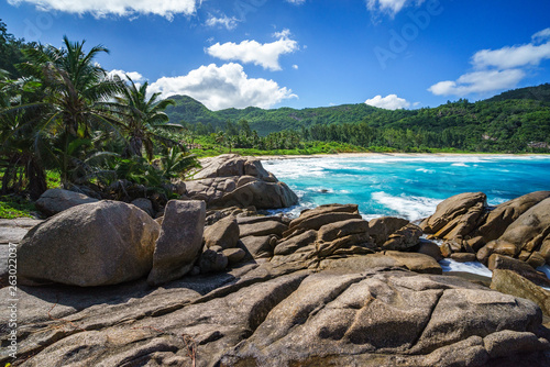 Granite Rocks,palms,wild paradise tropical beach,police bay, seychelles 10