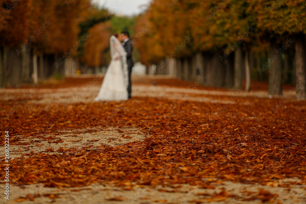 Happy wedding couple posing outdoor in nature Happy wedding couple posing outdoor in nature