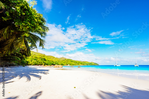 Fototapeta Naklejka Na Ścianę i Meble -  Paradise beach.White sand,turquoise water,palm trees at tropical beach,seychelles 47