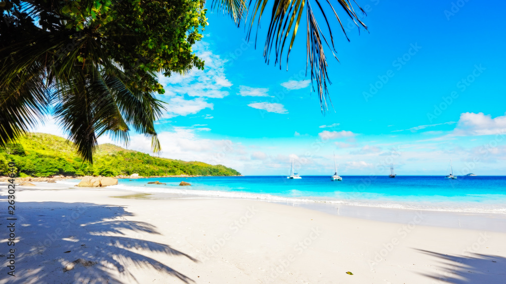 Paradise beach.White sand,turquoise water,palm trees at tropical beach,seychelles 30