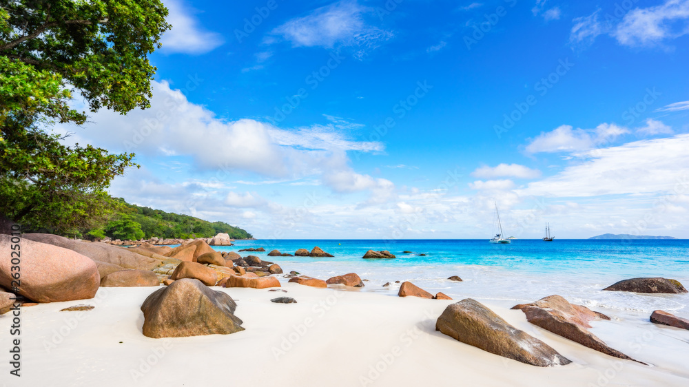 Paradise beach.White sand,turquoise water,palm trees at tropical beach,seychelles 39 Paradise beach.White sand,turquoise water,palm trees at tropical beach,seychelles 39