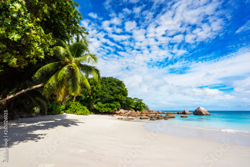 Paradise beach.White sand,turquoise water,palm trees at tropical beach,seychelles 8