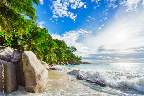 Paradise tropical beach with rocks,palm trees and turquoise water in sunshine, seychelles 10