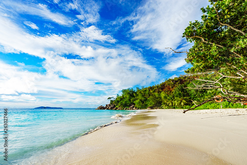 palms,white sand,granite rocks and turquoise water at tropical beach, seychelles 4