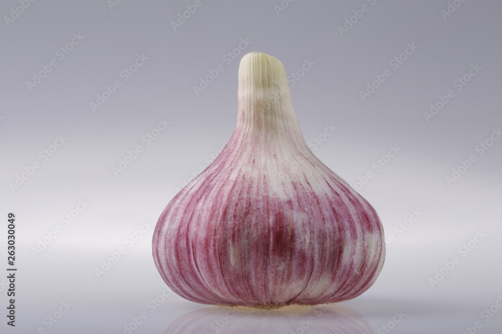 Head of young garlic on a gray background of the subject table.