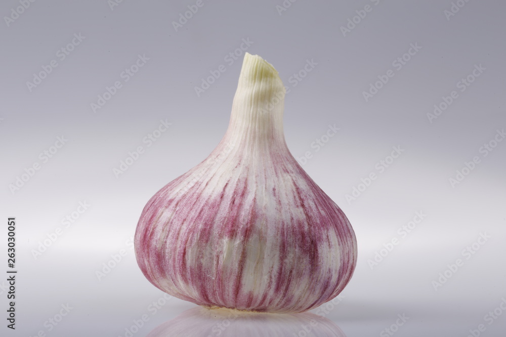 Fototapeta premium Head of young garlic on a gray background of the subject table.