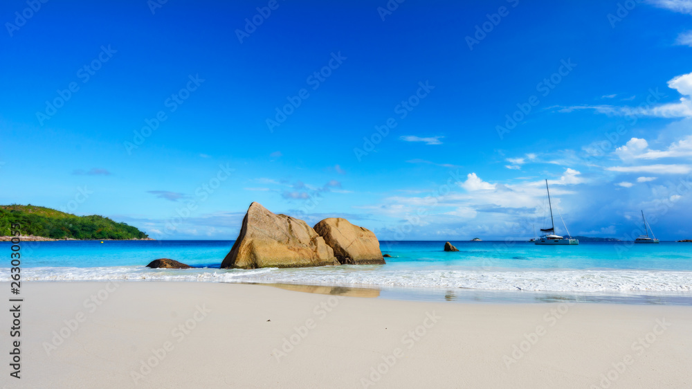 Paradise beach.White sand,turquoise water,palm trees at tropical beach,seychelles 20 Paradise beach.White sand,turquoise water,palm trees at tropical beach,seychelles 20