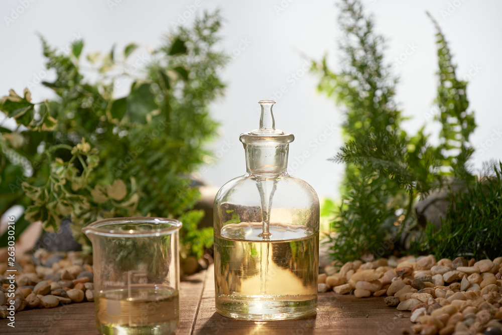 Φωτογραφία Scientist with natural drug research, Natural organic botany and scientific glassware, Alternative green herb medicine, Natural skin care beauty products, Research and development concept