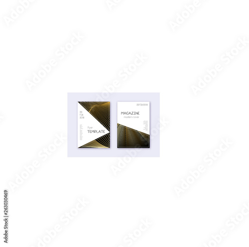 Triangle cover design template set. Gold abstract 