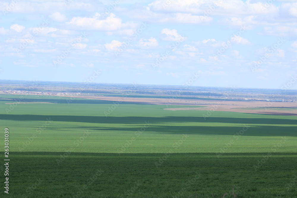 Fototapeta premium Green meadows and pasture.