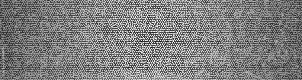 Print. image, panel in gray tones, for background. Textured metallic scaly surface, texture element Print. image, panel in gray tones, for background. Textured metallic scaly surface, texture element
