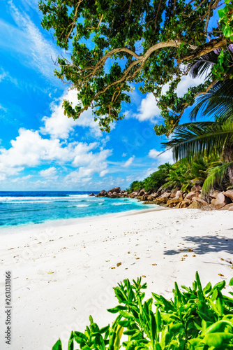 Fototapeta Naklejka Na Ścianę i Meble -  beautiful tropical beach with granite rocks,white sand,turquoise water,seychelles 12