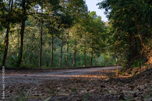 countryside road way