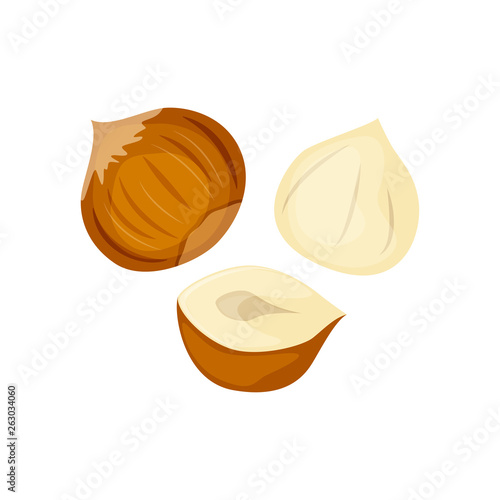 Set of whole andhalf hazelnuts vector illustration isolated on white background. Nuts illustration