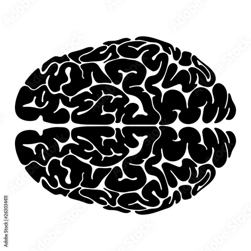 brain vector illustration. human brain