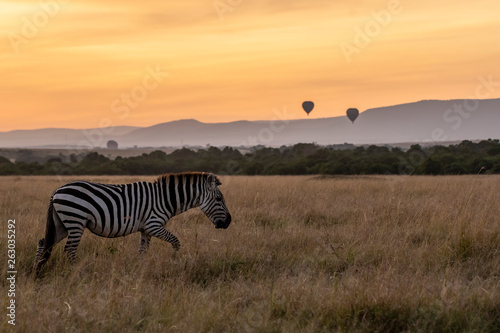 Photography A beautiful sunset in the plains of Africa inside Masai mara national reserve wi